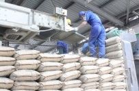 Tiêu thụ xi măng năm 2026: Cơ hội và thách thức đan xen